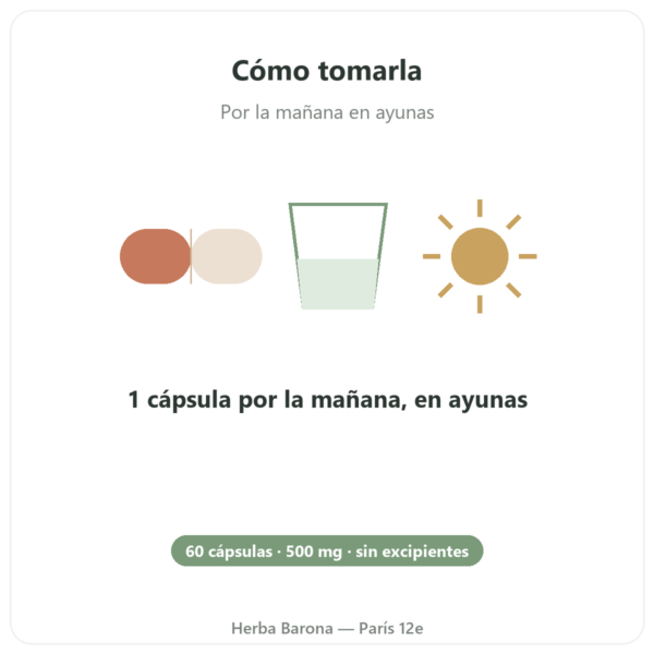 L-Tirosina 500 mg – Dynveo – 60 cápsulas modo de empleo y dosis Paris Herba Barona