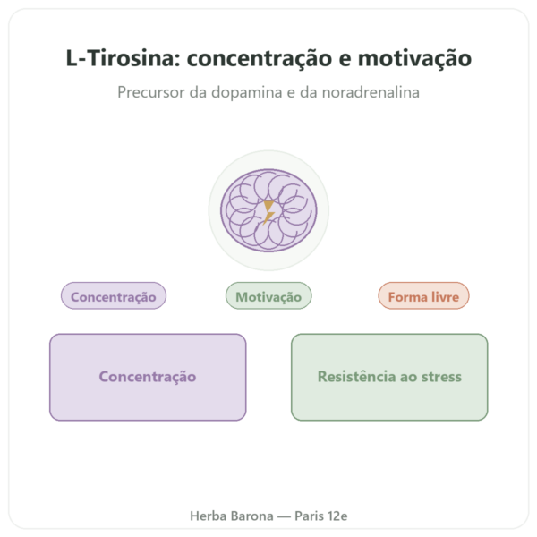 L-Tirosina 500 mg – 120 Cápsulas – Doctor's Best – Comprar apresentação Paris Herba Barona