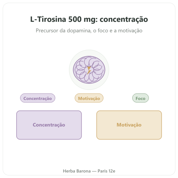 L-Tirosina 500 mg Dynveo 60 cápsulas apresentação Paris Herba Barona