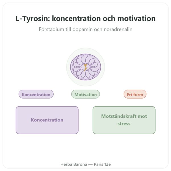L-Tyrosin 500 mg 120 kapslar Doctor's Best – Aminosyra presentation Paris Herba Barona