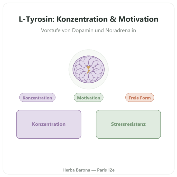 L-Tyrosin 500 mg – 120 Kapseln – Doctor's Best Vorstellung Paris Herba Barona