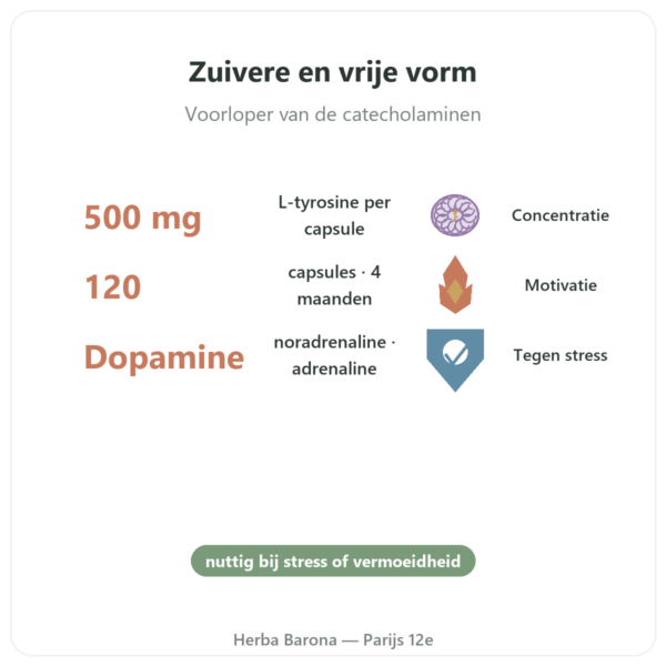 L-Tyrosine 500mg 120 capsules Doctor's Best – Aminozuur voordelen en kerngegevens Paris Herba Barona