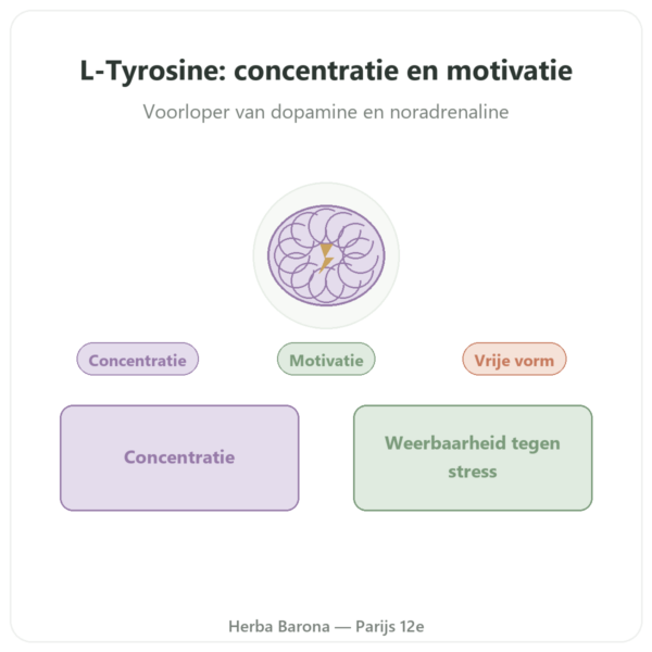 L-Tyrosine 500mg 120 capsules Doctor's Best – Aminozuur presentatie Paris Herba Barona
