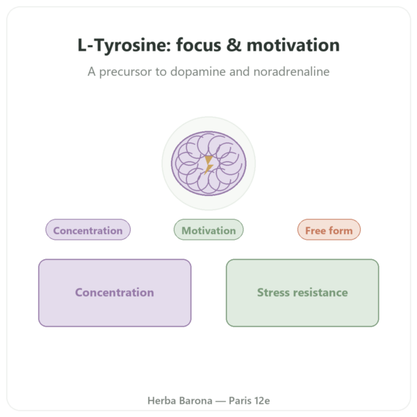 L-Tyrosine 500mg - 120 Capsules - Doctor's Best presentation Paris Herba Barona