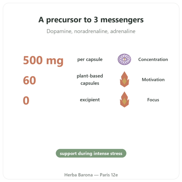 L-Tyrosine 500 mg – Dynveo – 60 capsules benefits and key facts Paris Herba Barona