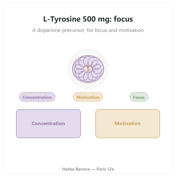 L-Tyrosine 500 mg – Dynveo – 60 capsules presentation Paris Herba Barona
