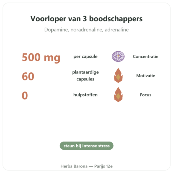 L-Tyrosine 500 mg – Dynveo – 60 capsules voordelen en kerngegevens Paris Herba Barona