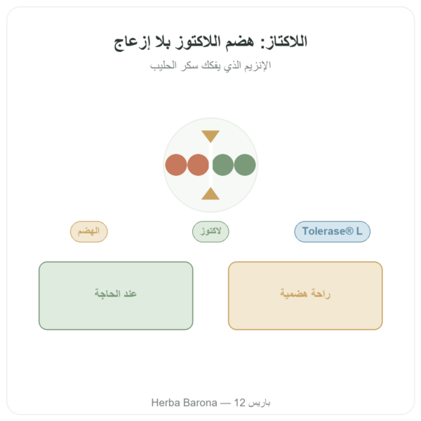 لاكتاز Dynveo 5000 ALU - 60 كبسولة - Tolérase® L عرض المنتج Paris Herba Barona