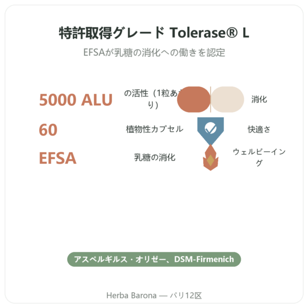 ラクターゼ Dynveo 5000 ALU – 60カプセル – Tolérase® L benefits and key facts Paris Herba Barona