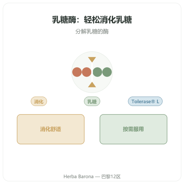 乳糖酶 Dynveo 5000 ALU - 60粒胶囊 - Tolérase® L 产品展示 Paris Herba Barona