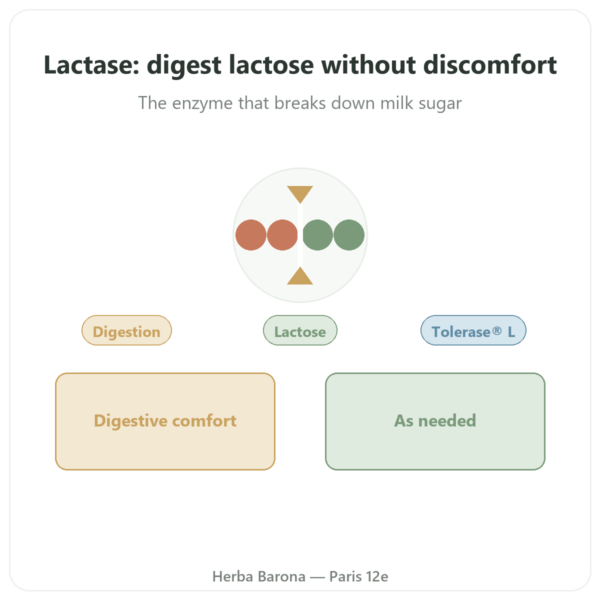 Lactase Dynveo 5000 ALU – Tolerase® L – 60 Capsules presentation Paris Herba Barona