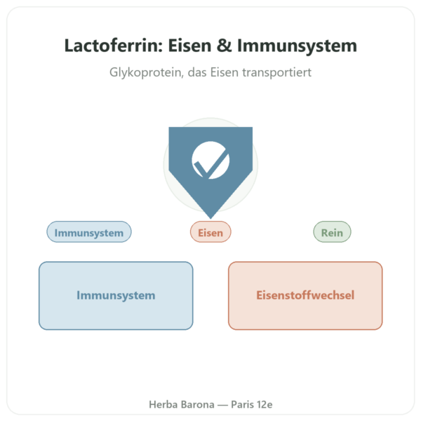 Lactoferrin Proferrin® – Dynveo – 200 mg – 60 Kapseln Vorstellung Paris Herba Barona