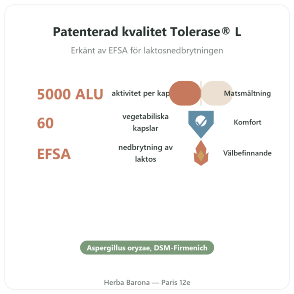 Laktas Dynveo 5000 ALU - 60 kapslar - Tolerase® L fördelar och nyckelfakta Paris Herba Barona