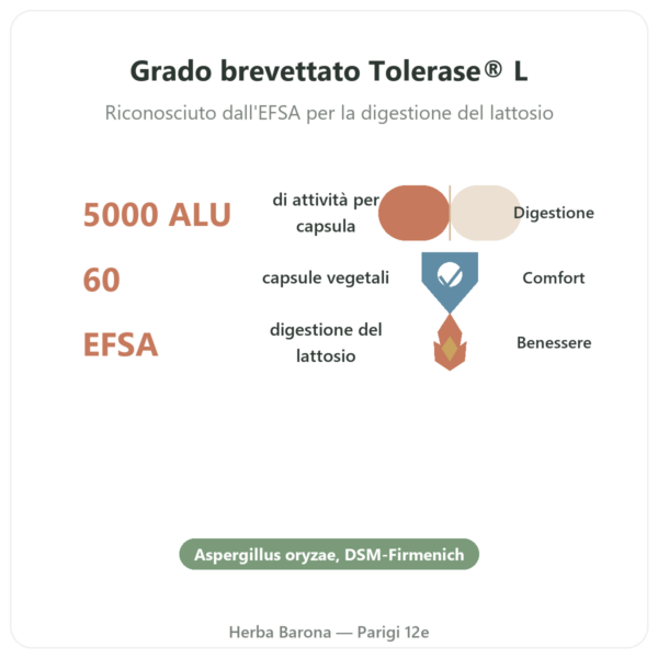 Lattasi 5.000 ALU – Dynveo – Tolérase® L – 60 capsule benefici e dati chiave Paris Herba Barona