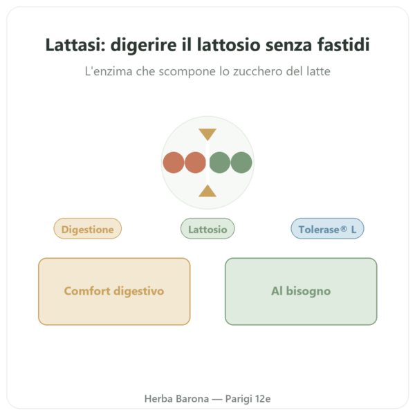 Lattasi 5.000 ALU – Dynveo – Tolérase® L – 60 capsule presentazione Paris Herba Barona