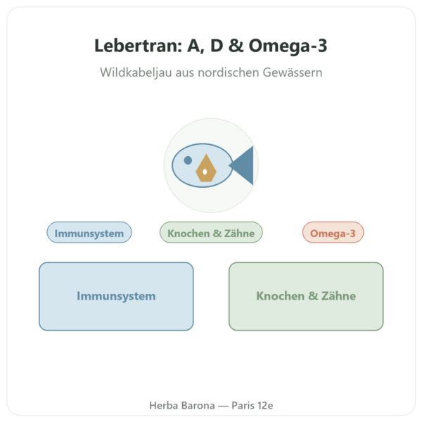 Lebertran Kapseln – Dynveo – 500 mg – 60 Kapseln Vorstellung Paris Herba Barona