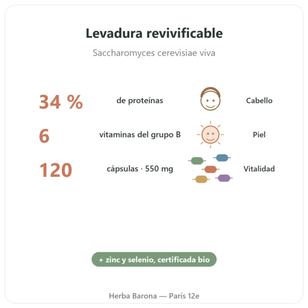 Levadura de Cerveza BIO Dynveo 120 cápsulas 550 mg beneficios y datos clave Paris Herba Barona