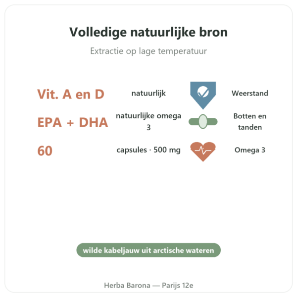 Levertraan 500 mg 60 capsules – Dynveo voordelen en kerngegevens Paris Herba Barona