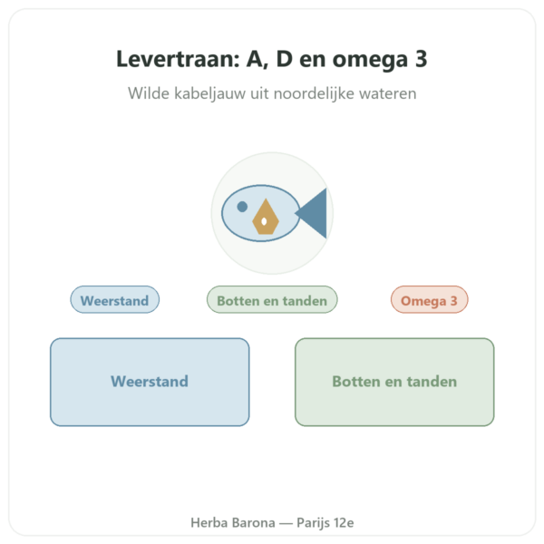 Levertraan 500 mg 60 capsules – Dynveo presentatie Paris Herba Barona