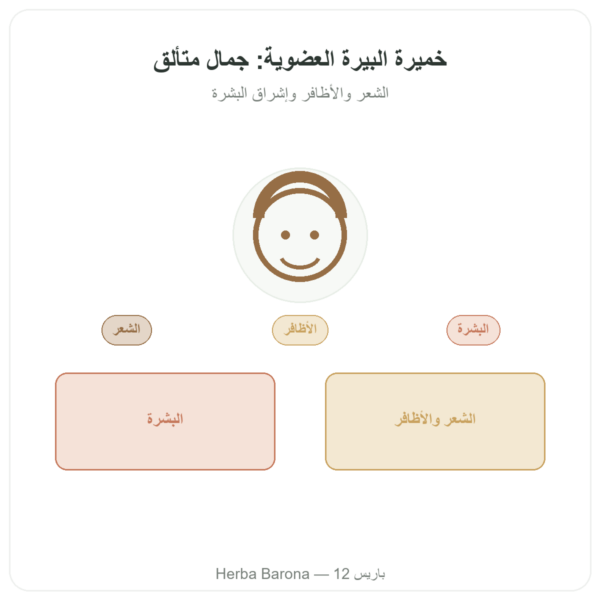 خميرة البيرة العضوية Dynveo 120 كبسولة 550 mg عرض المنتج Paris Herba Barona