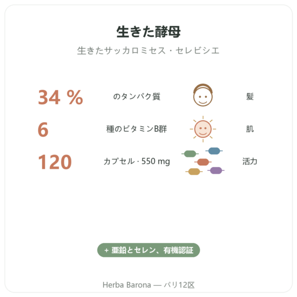 ビール酵母 BIO Dynveo 120カプセル 550 mg benefits and key facts Paris Herba Barona