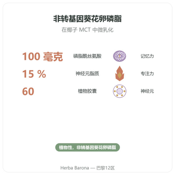 植物来源磷脂酰丝氨酸 – Dynveo – 100 mg – 60 粒胶囊 功效与数据 Paris Herba Barona