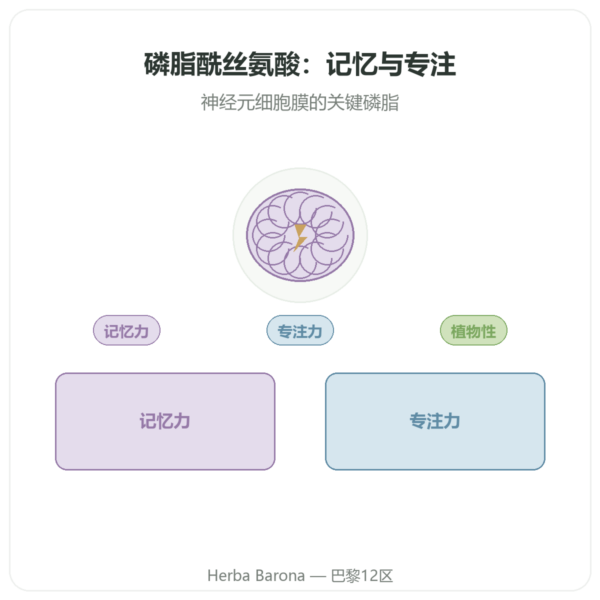 植物来源磷脂酰丝氨酸 – Dynveo – 100 mg – 60 粒胶囊 产品展示 Paris Herba Barona