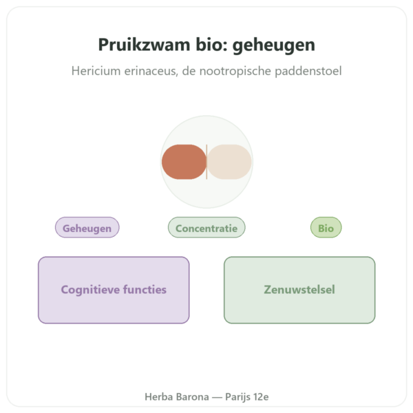 Lion's Mane Bio - SIHO - 60 capsules presentatie Paris Herba Barona