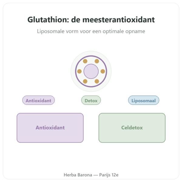 Liposomaal Glutathion Dynveo 150 mg presentatie Paris Herba Barona