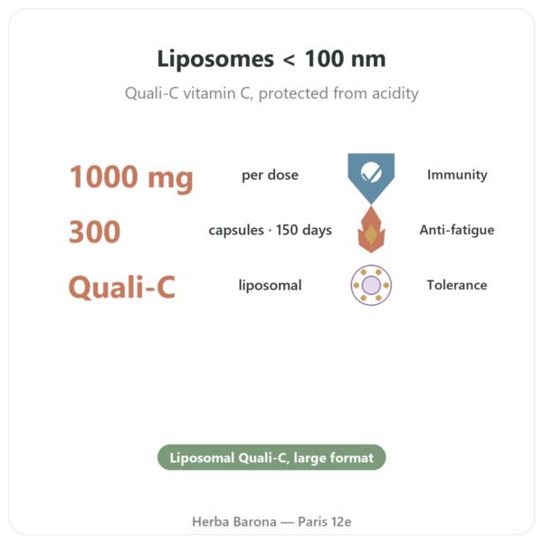 Liposomal Vitamin C - Dynveo - 300 Capsules benefits and key facts Paris Herba Barona