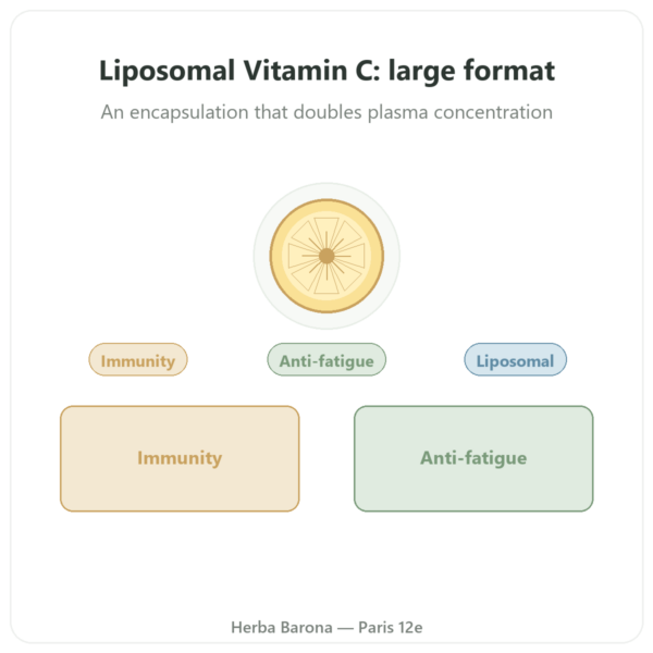 Liposomal Vitamin C - Dynveo - 300 Capsules presentation Paris Herba Barona