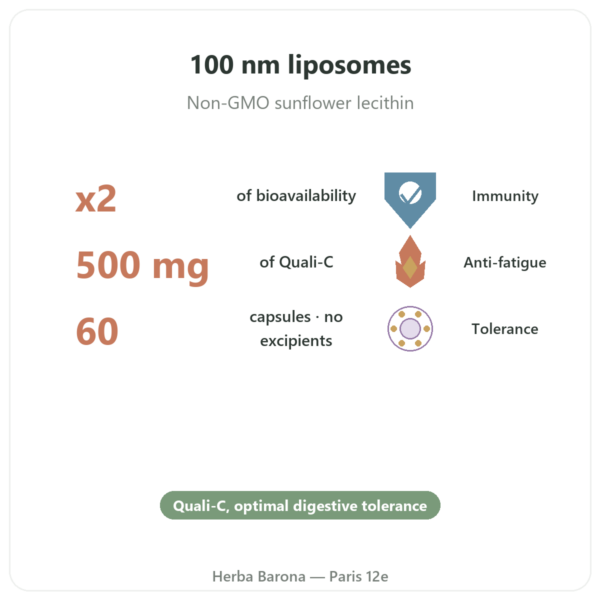 Liposomal Vitamin C – 60 Capsules – Dynveo benefits and key facts Paris Herba Barona