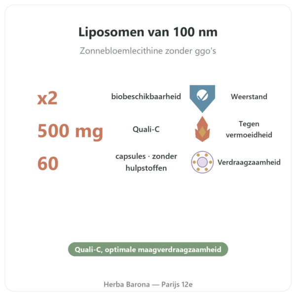Liposomale Vitamine C – 60 capsules – Dynveo voordelen en kerngegevens Paris Herba Barona