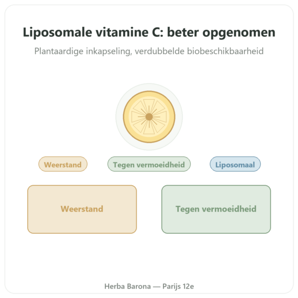 Liposomale Vitamine C – 60 capsules – Dynveo presentatie Paris Herba Barona