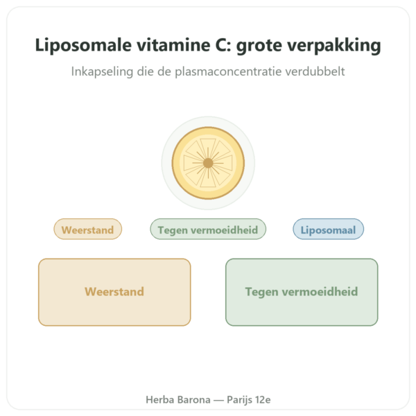 Liposomale Vitamine C Dynveo 300 capsules presentatie Paris Herba Barona