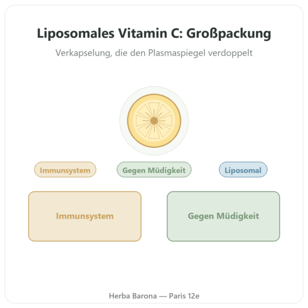 Liposomales Vitamin C Quali®-C – Dynveo – 300 Kapseln Vorstellung Paris Herba Barona