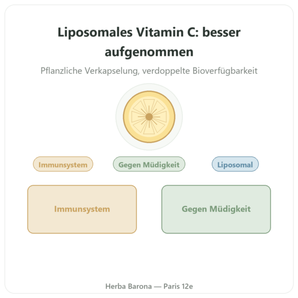 Liposomales Vitamin C Quali®-C – Dynveo – 60 Kapseln Vorstellung Paris Herba Barona