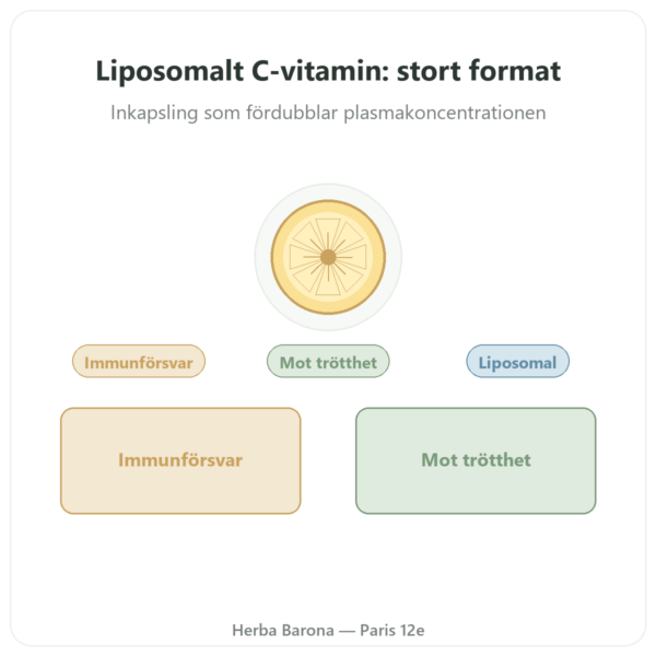 Liposomalt C-vitamin Dynveo 300 Kapslar presentation Paris Herba Barona