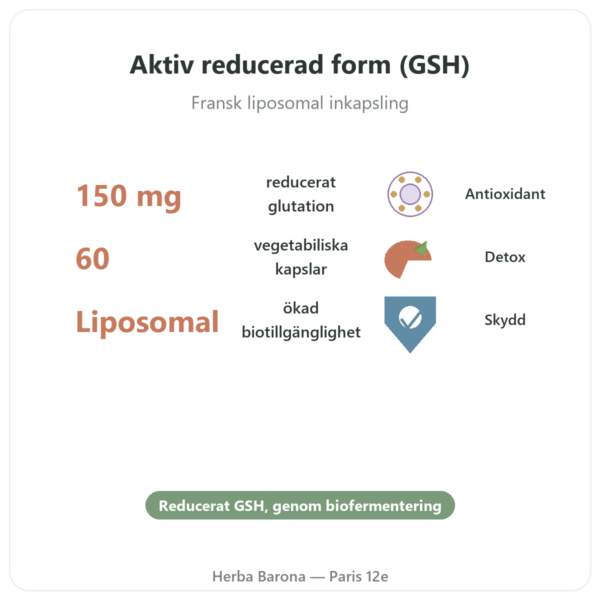 Liposomalt Glutation – Dynveo – 150 mg – 60 kapslar fördelar och nyckelfakta Paris Herba Barona