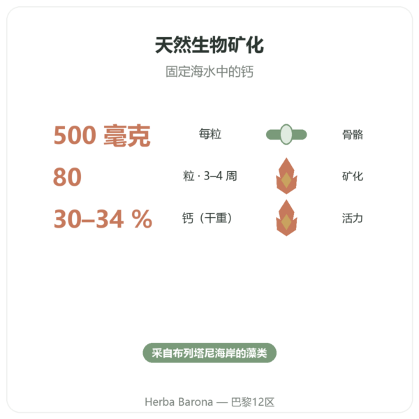 布列塔尼红藻钙 500mg – 80 粒胶囊 – Vecteur Santé 功效与数据 Paris Herba Barona
