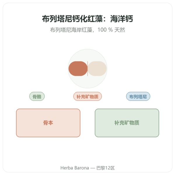 布列塔尼红藻钙 500mg – 80 粒胶囊 – Vecteur Santé 产品展示 Paris Herba Barona
