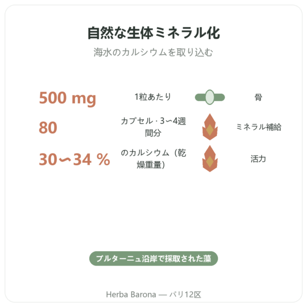 リトタムヌ(ブルターニュ産海藻カルシウム)500mg – 80カプセル – Vecteur Santé benefits and key facts Paris Herba Barona