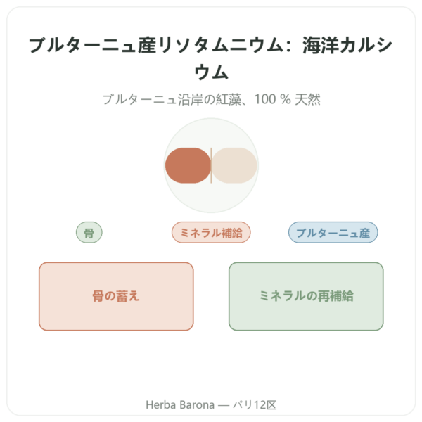 リトタムヌ(ブルターニュ産海藻カルシウム)500mg – 80カプセル – Vecteur Santé presentation Paris Herba Barona