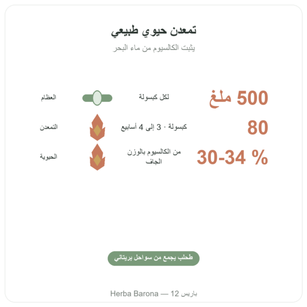 ليثوثامن بريتوني 500 ملغ – 80 كبسولة – Vecteur Santé الفوائد والمعطيات الرئيسية Paris Herba Barona