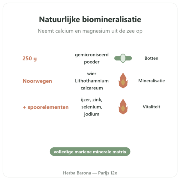 Lithothamne Poeder 250 g - Vecteur Santé voordelen en kerngegevens Paris Herba Barona