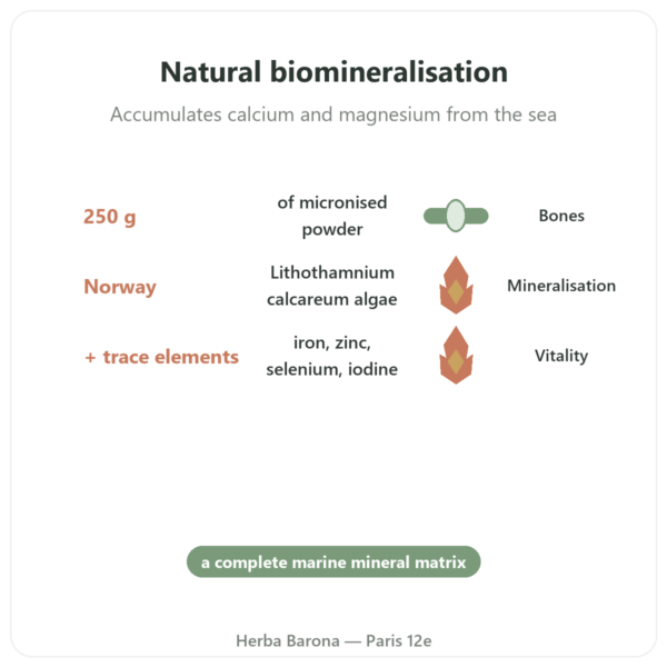 Lithothamne Red Algae Powder 250g - Vecteur Sante benefits and key facts Paris Herba Barona
