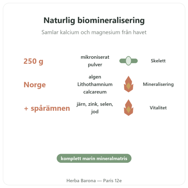 Lithothamnepulver 250 g - Vecteur Santé fördelar och nyckelfakta Paris Herba Barona