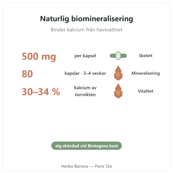 Bretonsk Lithothamnium 500 mg – 80 kapslar – Vecteur Santé fördelar och nyckelfakta Paris Herba Barona