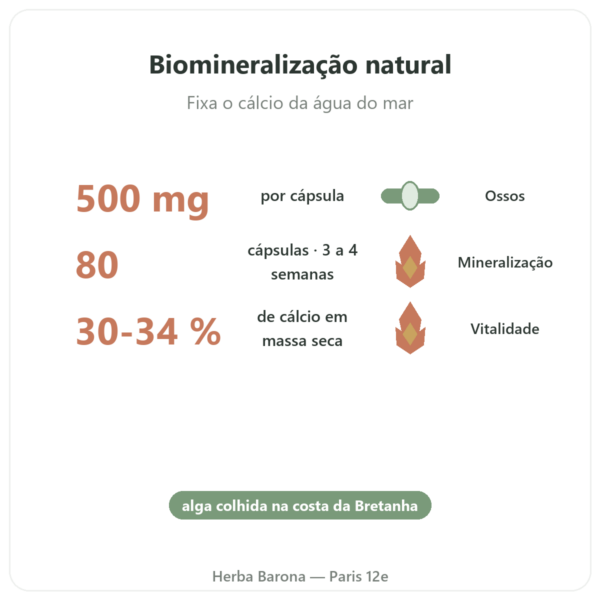 Lithothamnium bretão 500mg – 80 cápsulas – Vecteur Santé benefícios e dados principais Paris Herba Barona