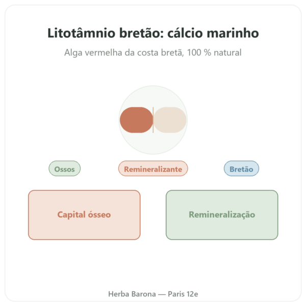 Lithothamnium bretão 500mg – 80 cápsulas – Vecteur Santé apresentação Paris Herba Barona